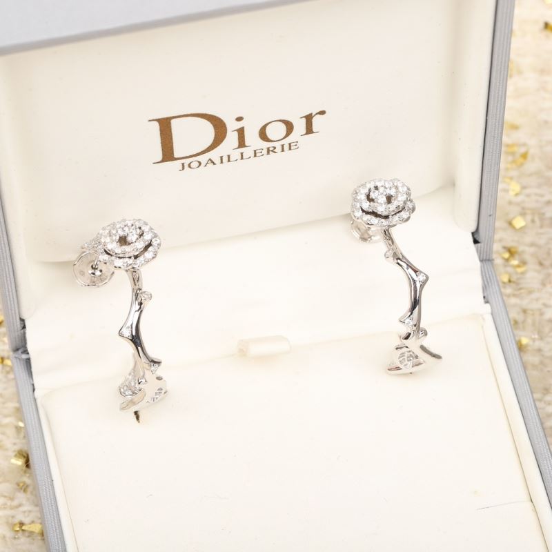 Christian Dior Earrings